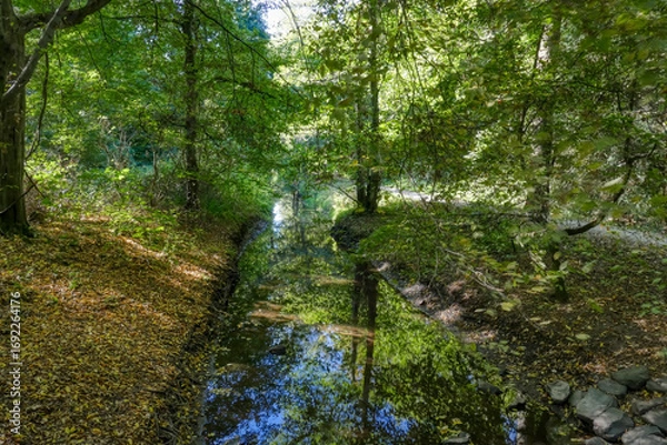 Obraz Bach und Waldwege an der Sechs-Seen-Platte in Duisburg
