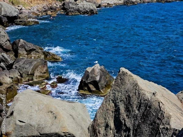 Fototapeta Vibrant seascape of a rocky coastline with deep blue water. A lone seagull rests on a boulder as waves crash on the shore. Perfect for summer travel and nature themes.