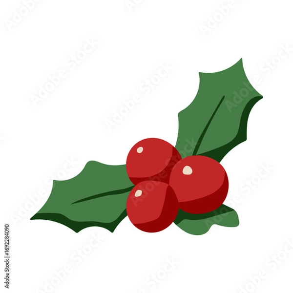 Fototapeta A red holly leaf with three red berries on it. The berries are shiny and the leaf is green