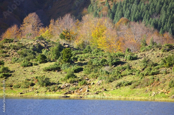 Obraz lac de montagne