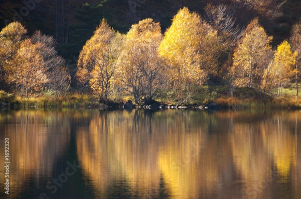 Obraz lac reflets