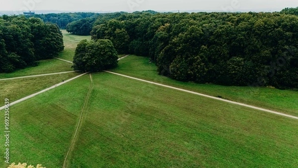 Fototapeta Aerial view of a green meadow with intersecting walking paths leading into a dense forest, creating a natural crossroad in the landscape.