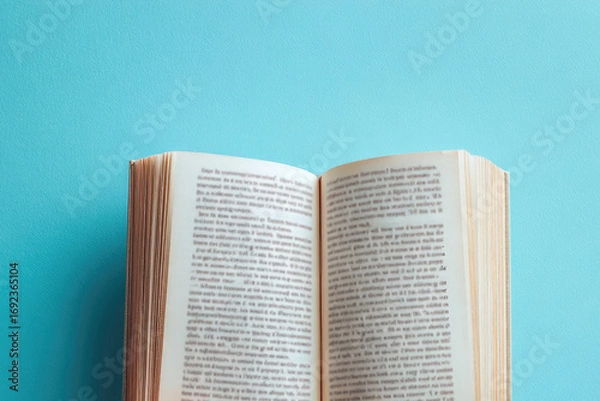 Fototapeta 
Open book in hand on blue background