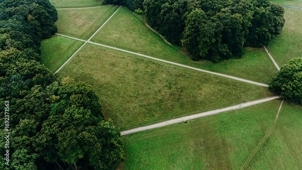 Fototapeta Aerial drone shot of intersecting walking paths forming geometric shapes in a wide green meadow, bordered by dense forest trees in summer.