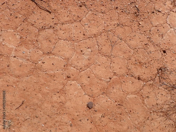 Obraz Australian dried soil and biocrust