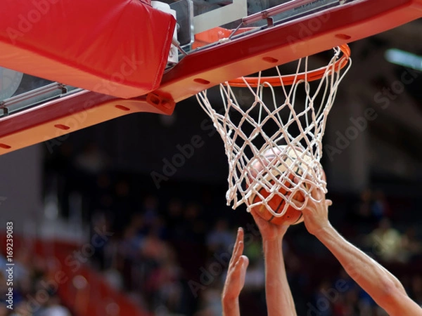 Fototapeta Mecz koszykówki