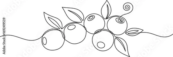 Fototapeta Minimalist single line drawing of a cluster of blueberries with leaves
