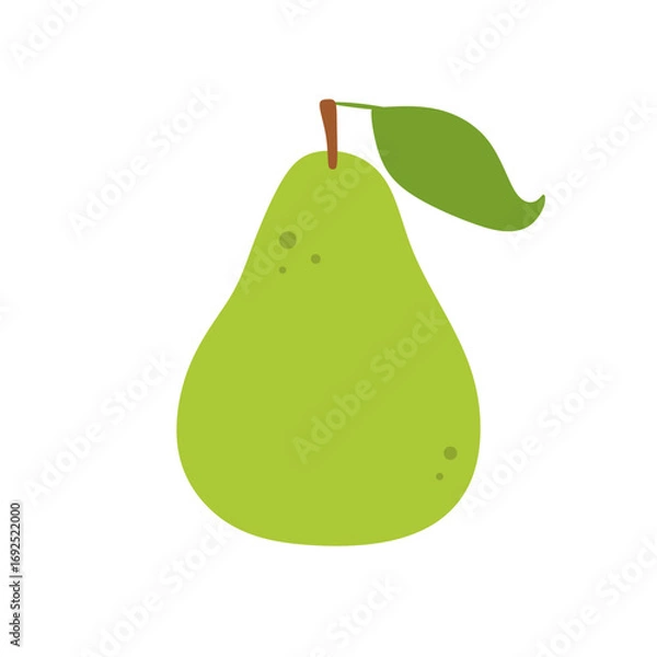 Obraz pear vector illustration