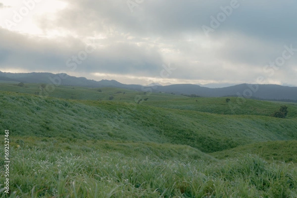 Fototapeta 日本の風景