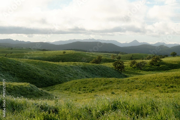 Obraz 日本の風景