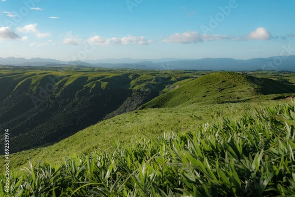 Obraz 日本の風景
