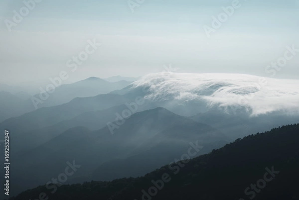Fototapeta 日本の風景