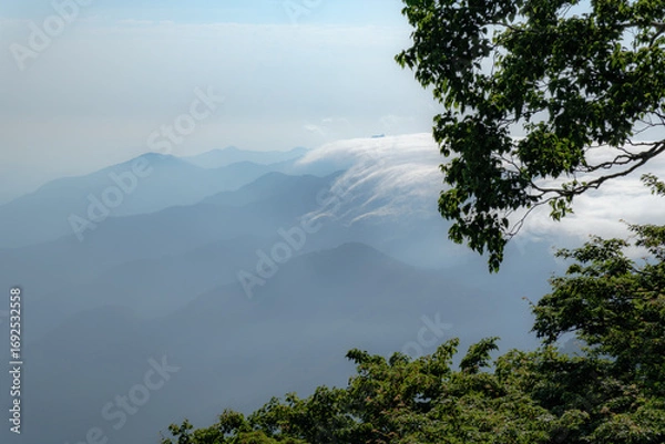 Fototapeta 日本の風景