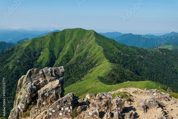 Fototapeta 日本の風景