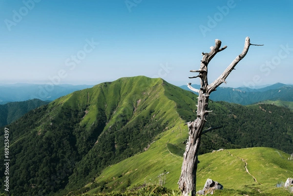 Fototapeta 日本の風景