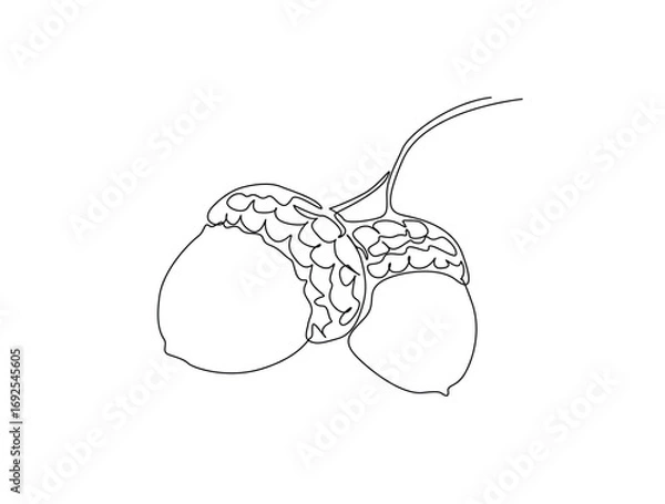 Fototapeta Continuous one line drawing of acorn, the nut of the oaks. Acorn nut monoline illustration. Editable vector.
