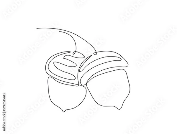 Fototapeta Continuous one line drawing of acorn, the nut of the oaks. Acorn nut monoline illustration. Editable vector.