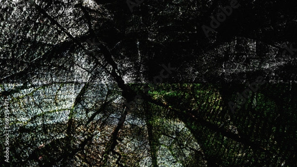 Fototapeta a blend leaf and wooden and various texture