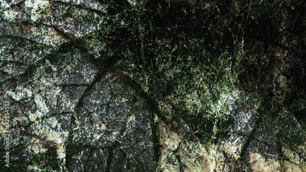 Fototapeta a blend leaf and wooden and various texture