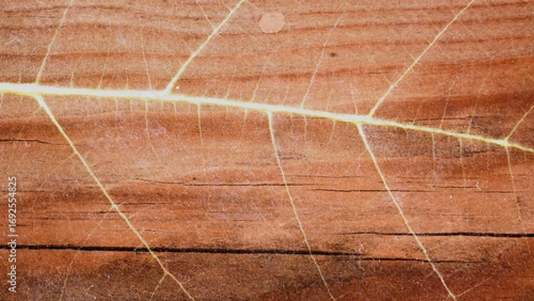 Fototapeta a blend leaf and wooden and various texture