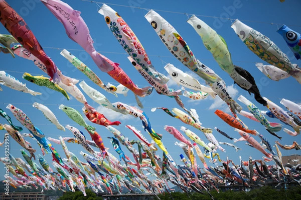 Obraz 高槻市の鯉のぼり