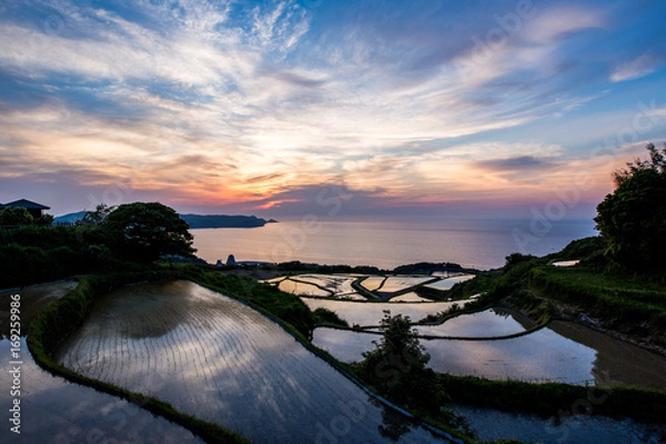 Obraz 東後畑棚田の夕焼け