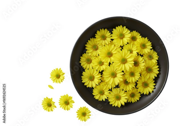 Obraz 黄色い菊の花が黒い皿に配置され透明な背景の俯瞰図 自然の装飾テーマ