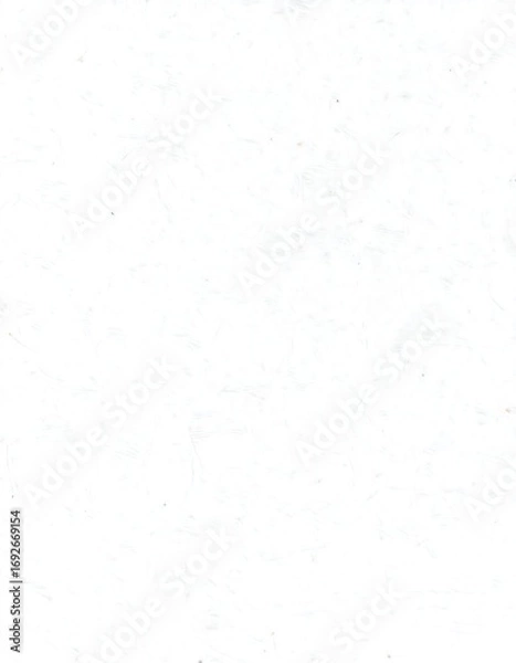 Obraz Plain white surface with subtle texture