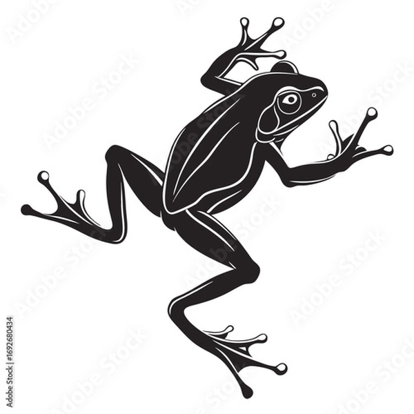 Obraz running frog cartoon