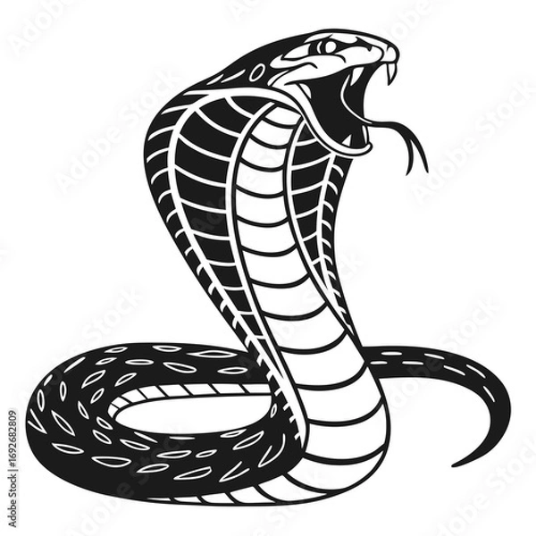 Fototapeta vector illustration of a snake