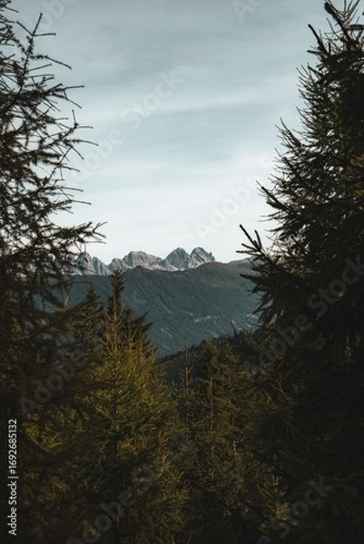Obraz Scenic mountain view framed by trees