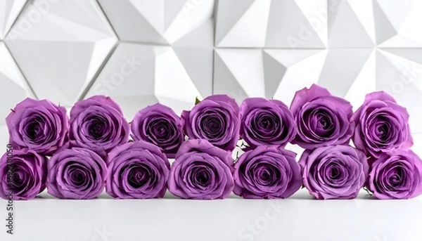 Fototapeta purple roses are arranged in a row on a white surface