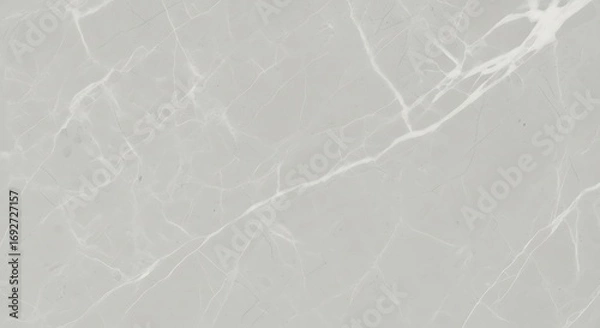 Obraz Light Gray Marble Texture