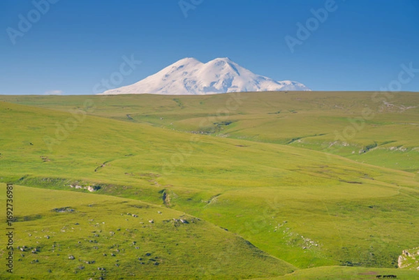 Fototapeta A panoramic view of the snow-capped peaks of Mount Elbrus with the green field of the Bolshoy Bermamyt plateau in the foreground, Stavropol Krai, Russia