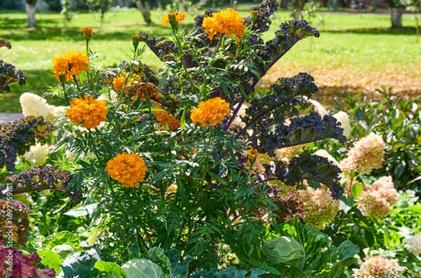 Obraz Beautiful garden with bright, varied flowers and greenery