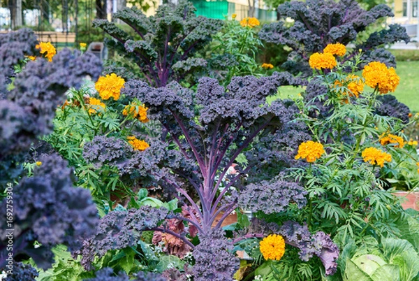 Obraz Beautiful garden with bright, varied flowers and greenery