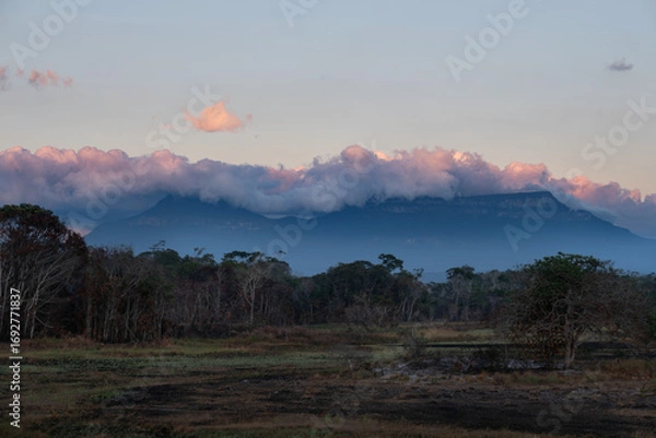 Fototapeta A remote view of the Gran Sabana in Venezuela. Majestic tepui mountains are shrouded in clouds at sunset, creating a serene and mystical wilderness landscape