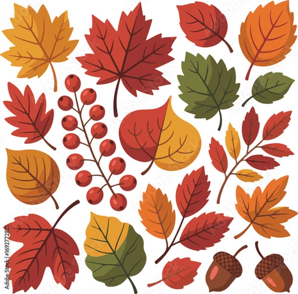 Fototapeta Vibrant autumn leaves and berries collection in a flat design style