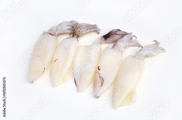 Fototapeta Fresh squids isolated on white studio background.