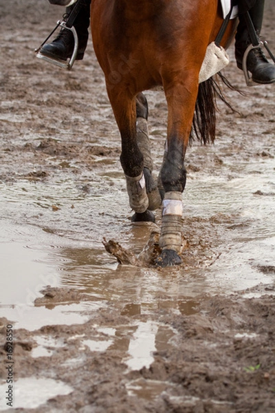 Obraz Muddy riding ground