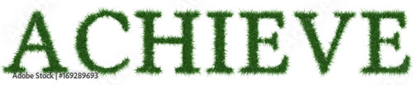Fototapeta Achieve - 3D rendering fresh Grass letters isolated on whhite background.