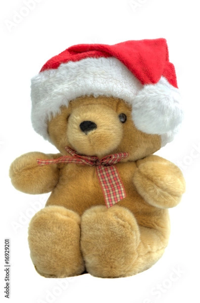Fototapeta Santa teddy