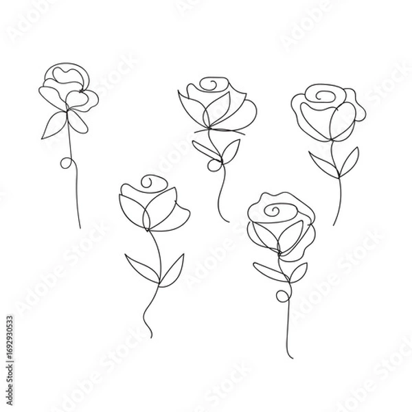 Fototapeta Simple line art roses collection hand drawn floral design elements white background