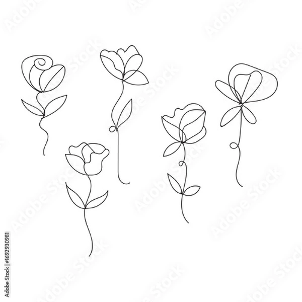 Fototapeta Delicate line art roses collection simple elegant floral design element white background