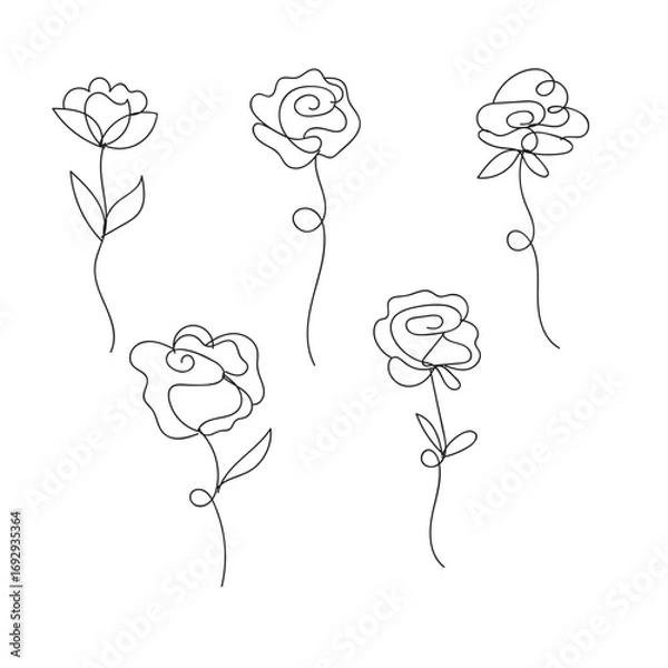 Fototapeta Simple line art roses collection for decorative purposes and design elements white background