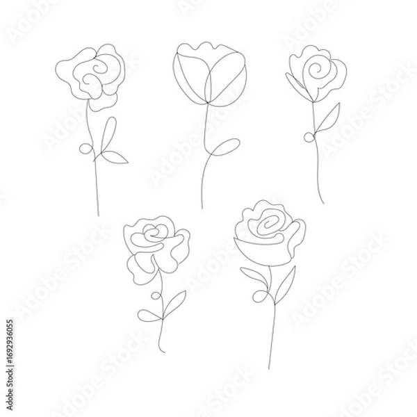 Fototapeta Five detailed rose line art drawings ideal for crafting and design projects white background
