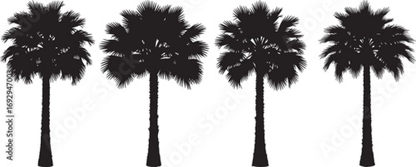 Fototapeta Four distinct palm tree silhouettes against a white background silhouette
