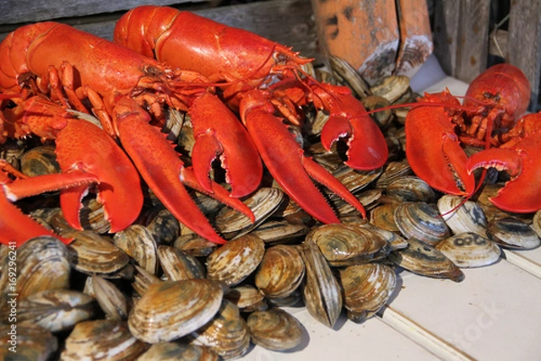 Obraz Cooked Lobster& Clams