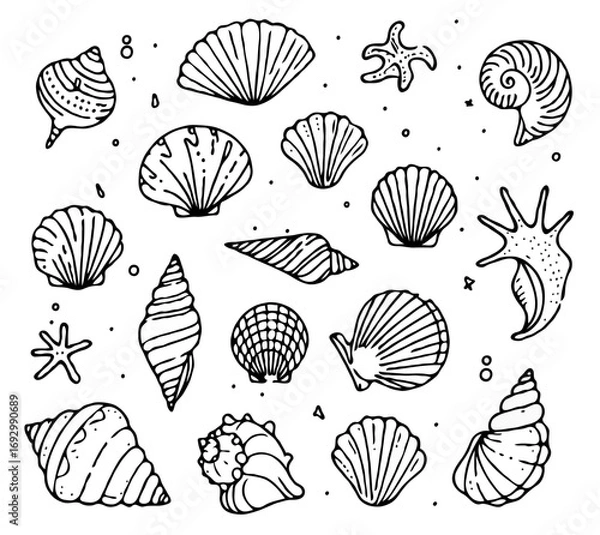 Fototapeta Collection Various Outline Black And White Drawing Seashells. Set Hand Drawn Doodle Snails and Shells, Starfish sketch Illustrations. Line Art Coastal Themes. Sea Elements, Marine Mollusks, Corals
