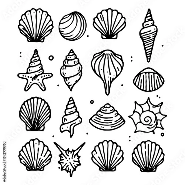 Fototapeta Collection Various Outline Black And White Drawing Seashells. Set Hand Drawn Doodle Snails and Shells, Starfish sketch Illustrations. Line Art Coastal Themes. Sea Elements, Marine Mollusks, Corals